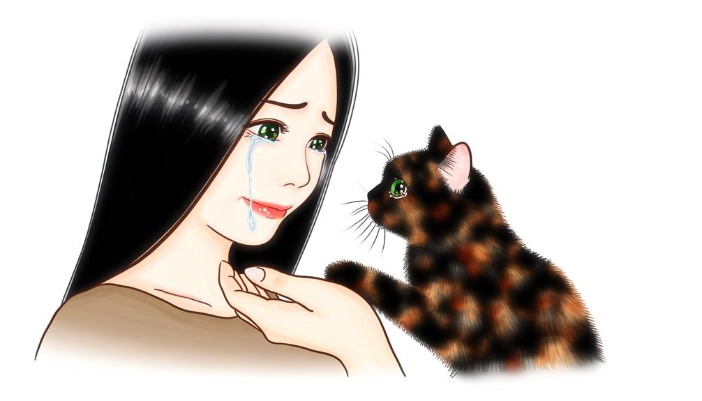 entendendo os comportamentos felinos