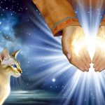 gatos and energy healing